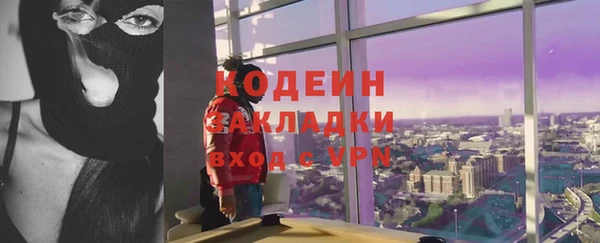 эйфоретик Арсеньев