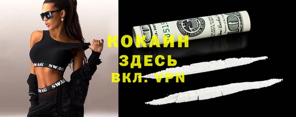 эйфоретик Арсеньев