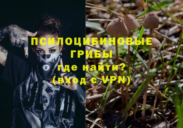 ГАЛЛЮЦИНОГЕННЫЕ ГРИБЫ Аркадак