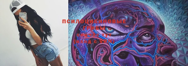 ГАЛЛЮЦИНОГЕННЫЕ ГРИБЫ Аркадак